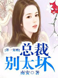 《第一宠婚：总裁别太坏》穆少天夏子夕小说精彩章节免费试读