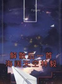 林毅苏瑶小说 《解散后一首海阔天空林毅》小说全文在线试读